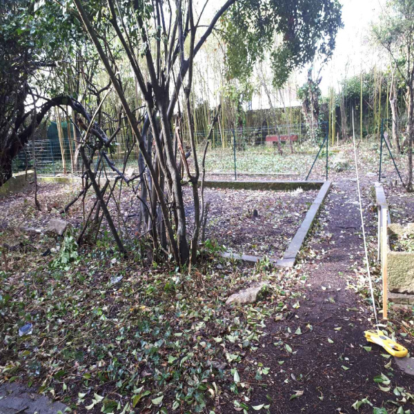 Offres de vente Terrain Caussade 82300