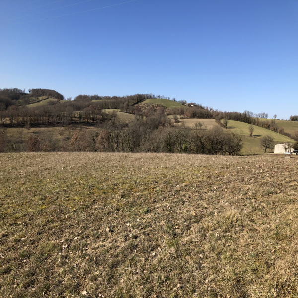 Offres de vente Terrain Caylus 82160