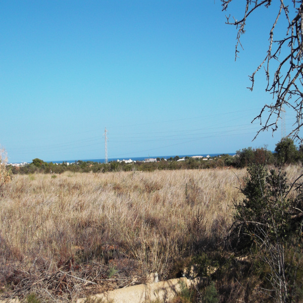Offres de vente Terrain Perpignan 66000