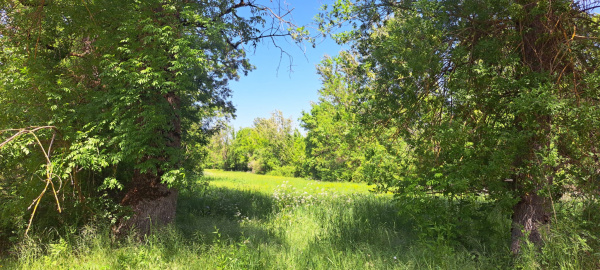 Offres de vente Terrain de loisir Puylaroque 82240