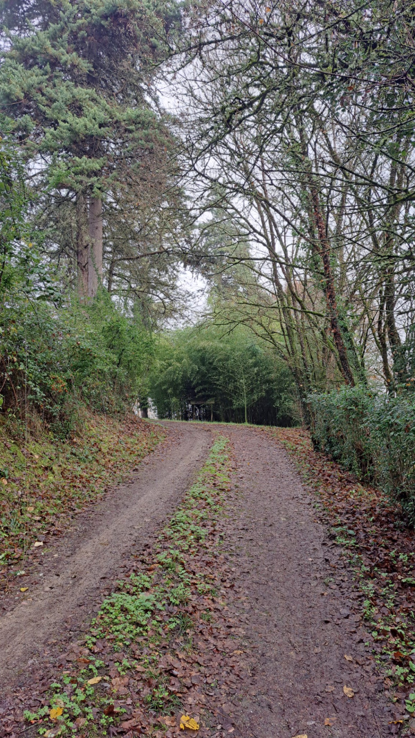 Offres de vente Maison Lafitte 82100