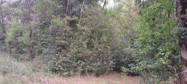 Offres de vente Terrain Cayriech 82240